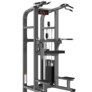 PF-1008 CHIN/DIP ASSITANT