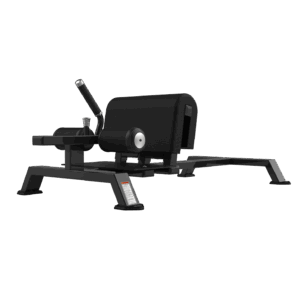RS-1010 SISSY SQUAT