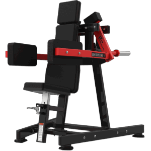 RS-1016 LATERAL RAISE