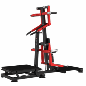 RS-1050 LATERAL RAISE